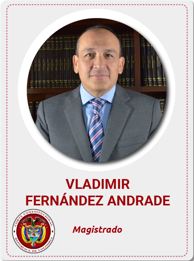 Vladimir Fernandez Andrade