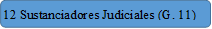 12 Sustanciadores Judiciales (G. 11)