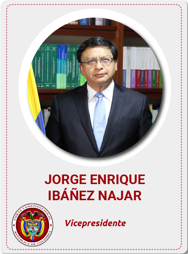 Jorge Enrique Ibañez Najar