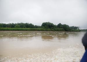 Descripci�n: Macintosh HD:Users:Clavijo:Desktop:Screen Shot 2016-02-24 at 12.09.05 PM.png