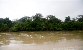 Descripci�n: Macintosh HD:Users:Clavijo:Desktop:Screen Shot 2016-02-24 at 12.54.20 PM.png