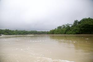 Descripci�n: Macintosh HD:Users:Clavijo:Desktop:Screen Shot 2016-02-24 at 1.00.24 PM.png