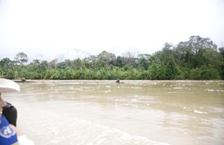 Descripci�n: Macintosh HD:Users:Clavijo:Desktop:Screen Shot 2016-02-24 at 2.58.52 PM.png