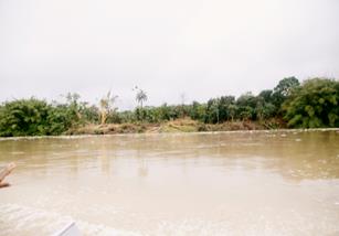 Descripci�n: Macintosh HD:Users:Clavijo:Desktop:Screen Shot 2016-02-24 at 3.38.24 PM.png