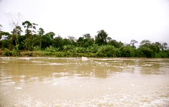 Descripci�n: Macintosh HD:Users:Clavijo:Desktop:Screen Shot 2016-02-24 at 3.42.31 PM.png