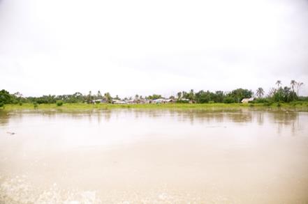 Descripci�n: Macintosh HD:Users:Clavijo:Desktop:Screen Shot 2016-02-24 at 3.52.33 PM.png