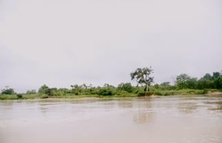 Descripci�n: Macintosh HD:Users:Clavijo:Desktop:Screen Shot 2016-02-24 at 4.10.03 PM.png