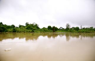 Descripci�n: Macintosh HD:Users:Clavijo:Desktop:Screen Shot 2016-02-24 at 4.14.03 PM.png