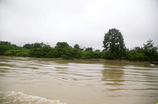 Descripci�n: Macintosh HD:Users:Clavijo:Desktop:Screen Shot 2016-02-24 at 4.32.28 PM.png