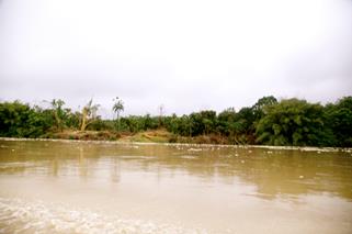 Descripci�n: Macintosh HD:Users:Clavijo:Desktop:Screen Shot 2016-02-24 at 4.16.50 PM.png