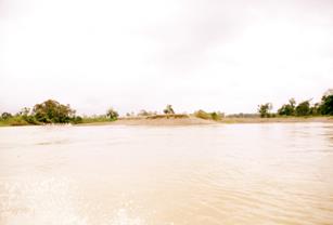 Descripci�n: Macintosh HD:Users:Clavijo:Desktop:Screen Shot 2016-02-25 at 10.44.52 AM.png