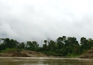 Descripci�n: Macintosh HD:Users:Clavijo:Desktop:Screen Shot 2016-02-25 at 11.37.38 AM.png