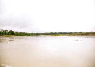 Descripci�n: Macintosh HD:Users:Clavijo:Desktop:Screen Shot 2016-02-25 at 11.57.04 AM.png