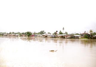 Descripci�n: Macintosh HD:Users:Clavijo:Desktop:Screen Shot 2016-02-25 at 12.08.42 PM.png