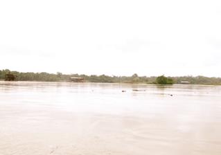 Descripci�n: Macintosh HD:Users:Clavijo:Desktop:Screen Shot 2016-02-28 at 12.25.42 PM.png