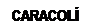 Cuadro de texto: CARACOL�