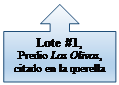 Llamada de flecha hacia arriba: Lote #1, 
Predio Los Olivos, citado en la querella
