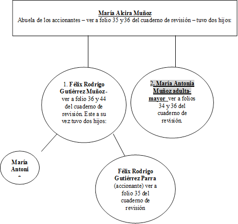 Mara Alcira Muoz 
Abuela de los accionantes  ver a folio 35 y 36 del cuaderno de revisin  tuvo dos hijos:

,1. Flix Rodrigo Gutirrez Muoz -ver a folio 36 y 44 del cuaderno de revisin. Este a su vez tuvo dos hijos: 


,2. Mara Antonia Muoz adulta- mayor  ver a folios 34 y 36 del cuaderno de revisin. reconocida por el padre. ,Mara Antonia Gutirrez Parra (accionante) ver a folio 35 del cuaderno de revisin,Flix Rodrigo Gutirrez Parra (accionante) ver a folio 35 del cuaderno de revisin 