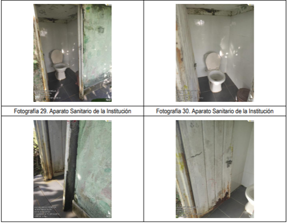 Imagen que contiene foto, diferente, alimentos, pájaro
El contenido generado por IA puede ser incorrecto.